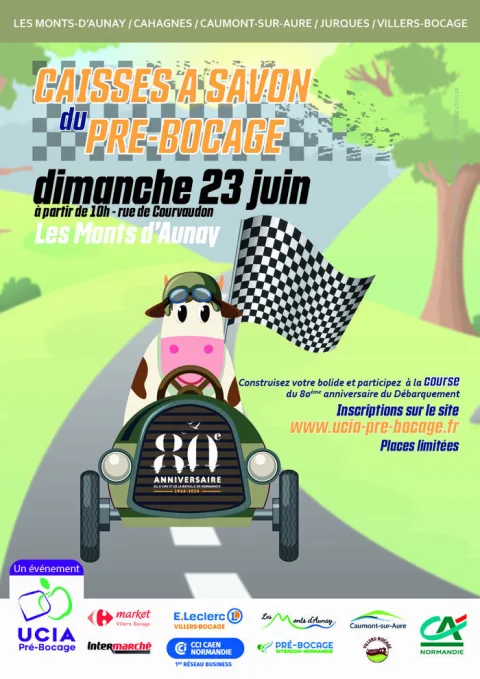 Affiche de Course de caisses à savon des Monts d'Aunay