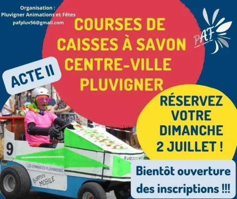 Affiche de Course de caisses à savon de Pluvigner