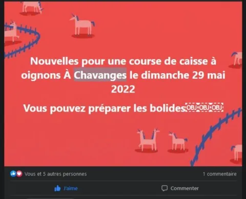 Affiche de Course de caisse à oignons de Chavanges