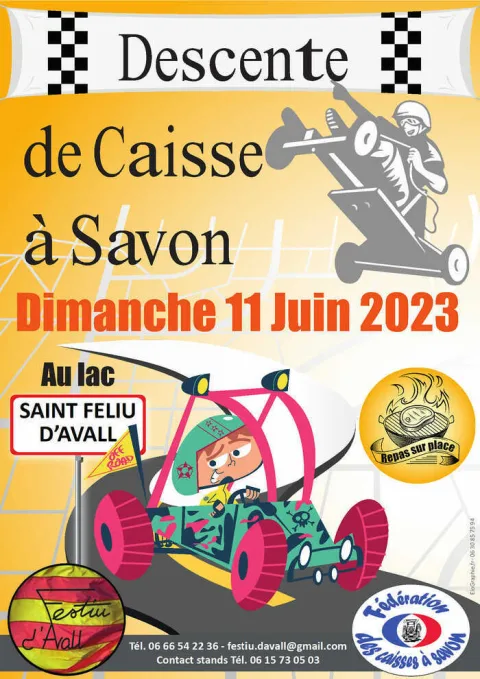 Affiche de Course de caisses à savon de Saint-Féliu-d'Avall