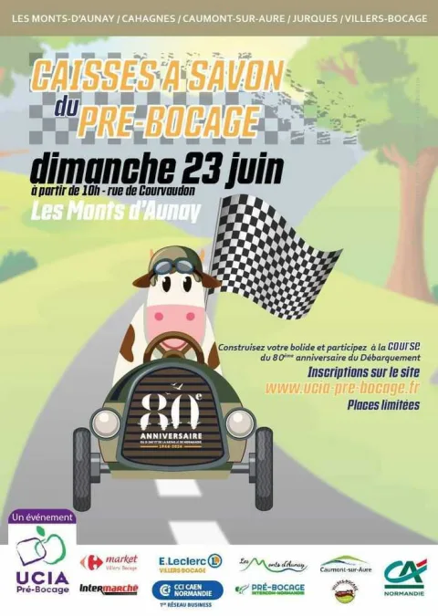 Affiche de Course de caisses à savon des Monts d'Aunay